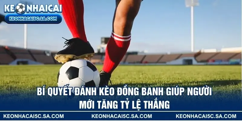 Bí quyết đánh kèo đồng banh giúp người mới tăng tỷ lệ thắng