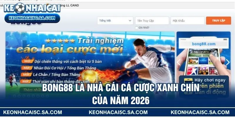 Bong88 là nhà cái cá cược xanh chín của năm 2026