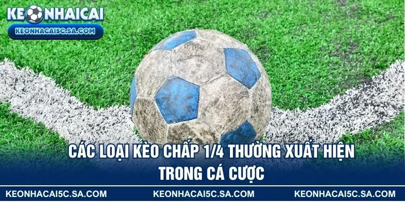 Các loại kèo chấp 1/4 thường xuất hiện trong cá cược