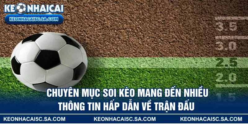 Chuyên mục soi kèo mang đến nhiều thông tin hấp dẫn về trận đấu