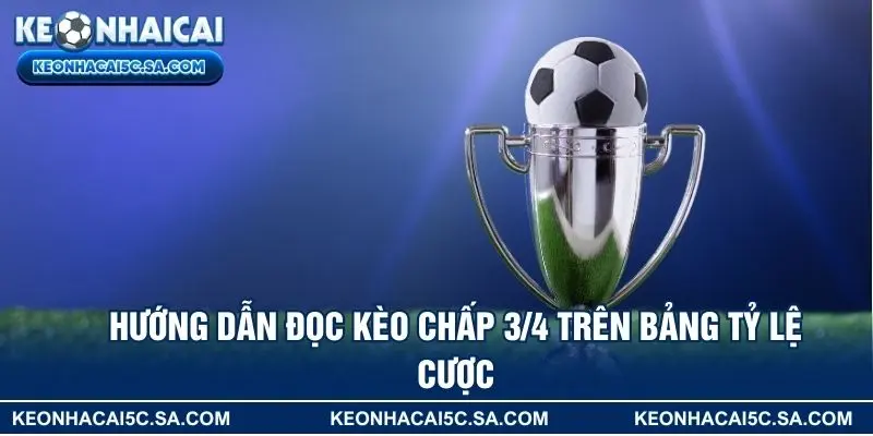 Hướng dẫn đọc kèo chấp 3/4 trên bảng tỷ lệ cược